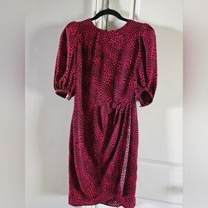 Banana Republic Vibrant Pink and Black Long Sleeve Dress